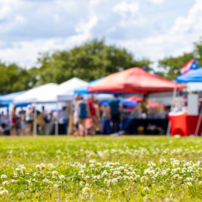 Defocused photo of a weekend cultural festival in a public park.
